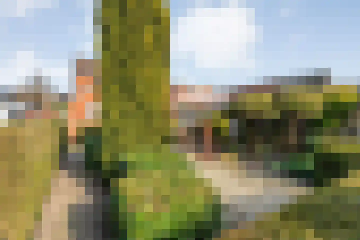 Deldensestraat 19 Almelo thumbnail 26