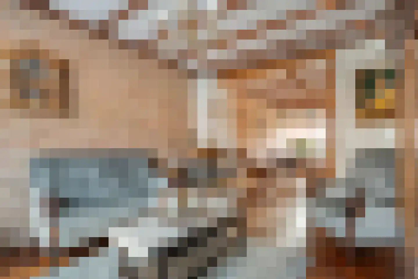 Deldensestraat 19 Almelo thumbnail 4