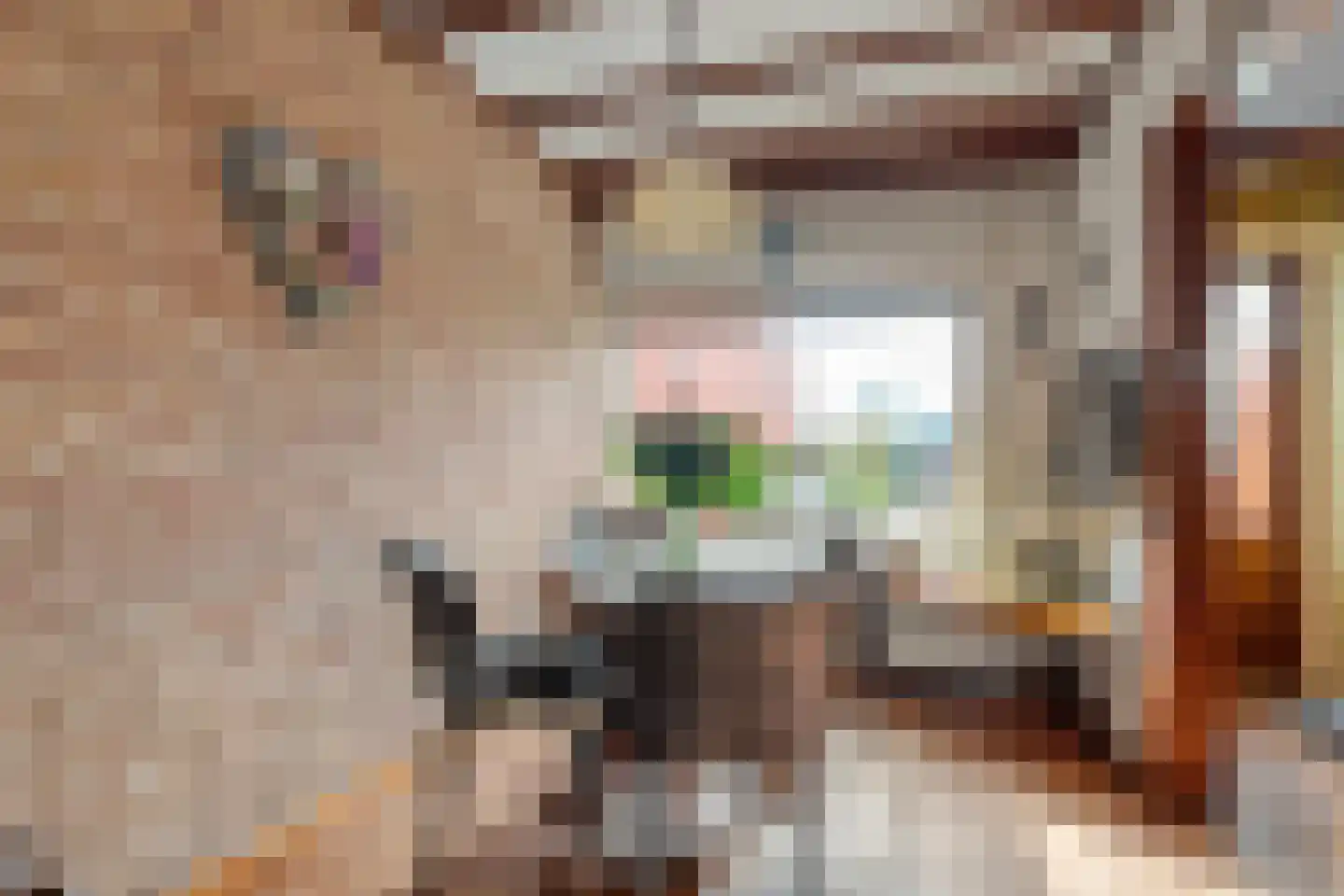 Deldensestraat 19 Almelo thumbnail 8