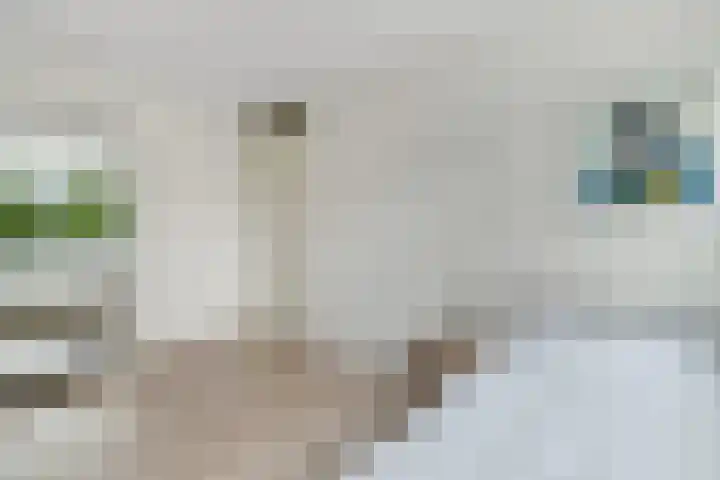Deldensestraat 195 Almelo thumbnail 21