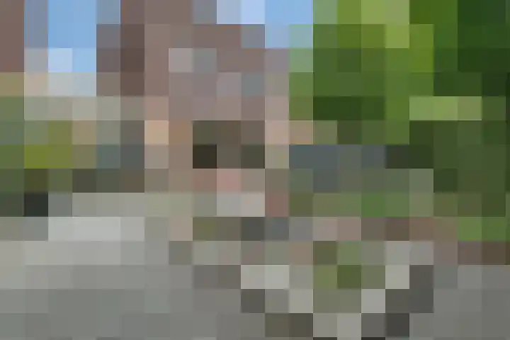 Deldensestraat 195 Almelo thumbnail 32