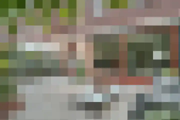 Deldensestraat 195 Almelo thumbnail 33