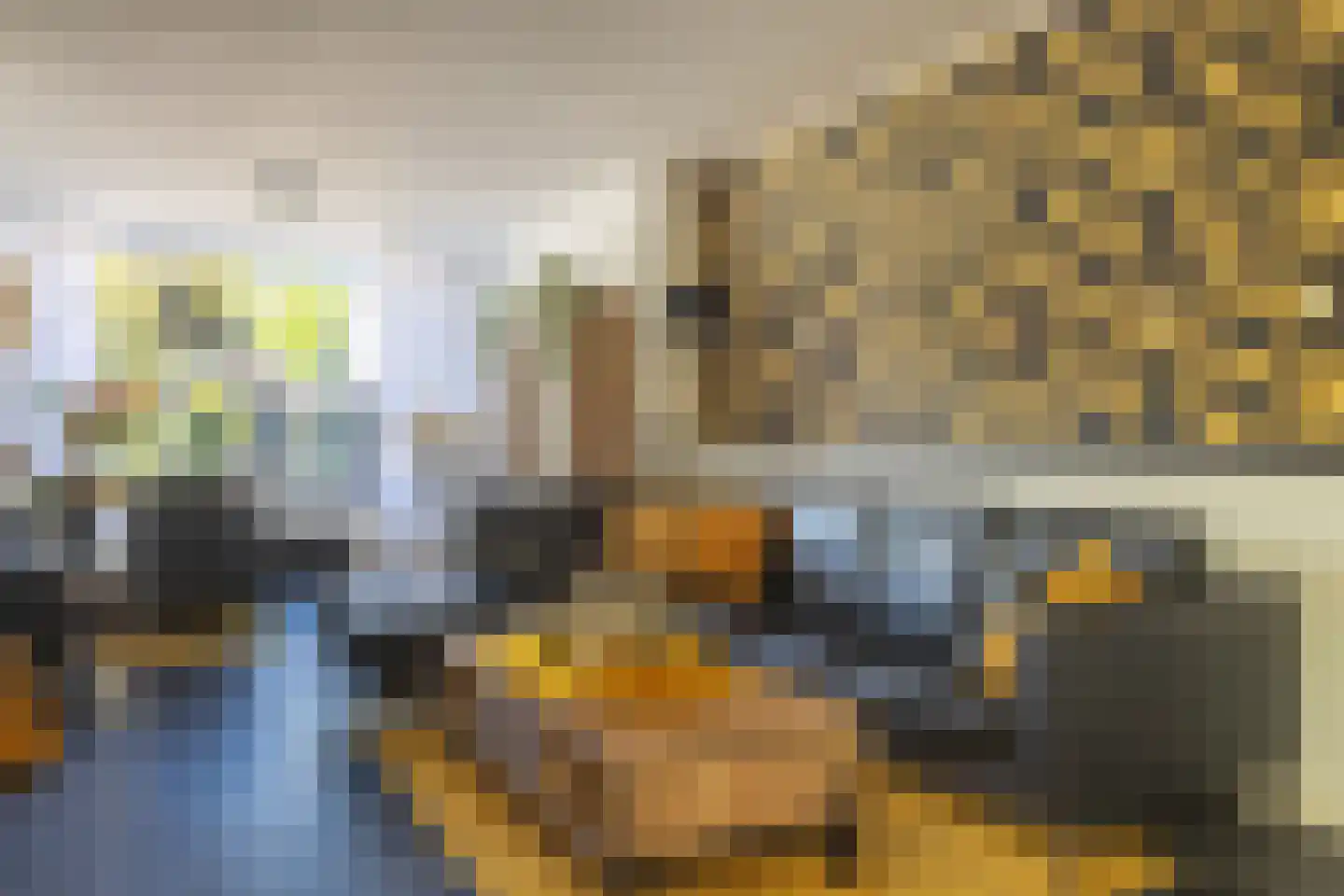 Deldensestraat 202 Almelo thumbnail 13