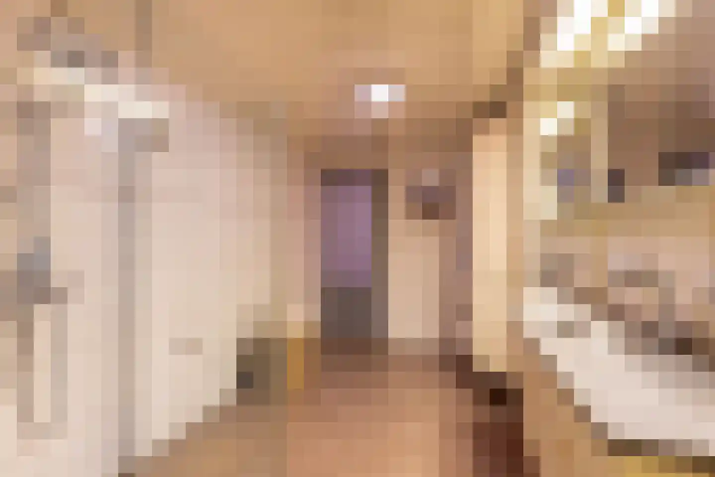 Deldensestraat 202 Almelo thumbnail 17