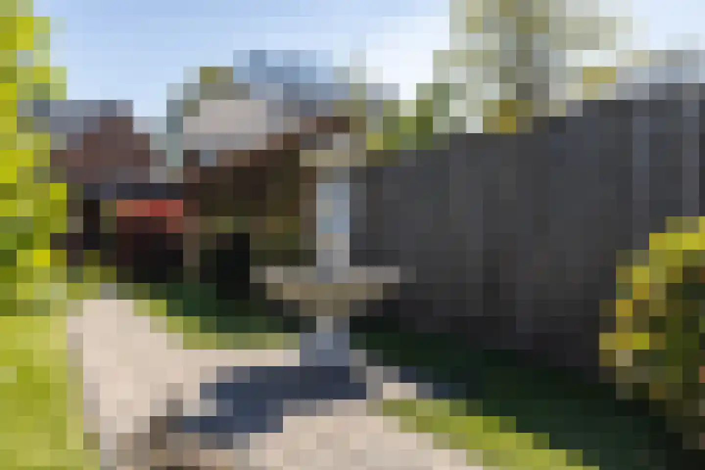 Deldensestraat 202 Almelo thumbnail 30