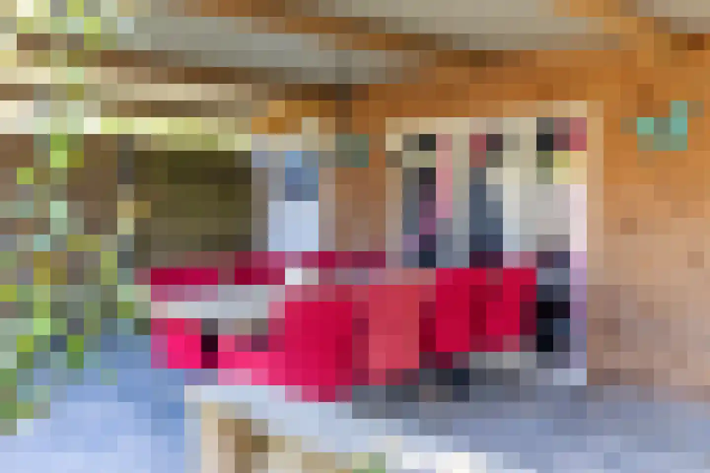 Deldensestraat 202 Almelo thumbnail 33