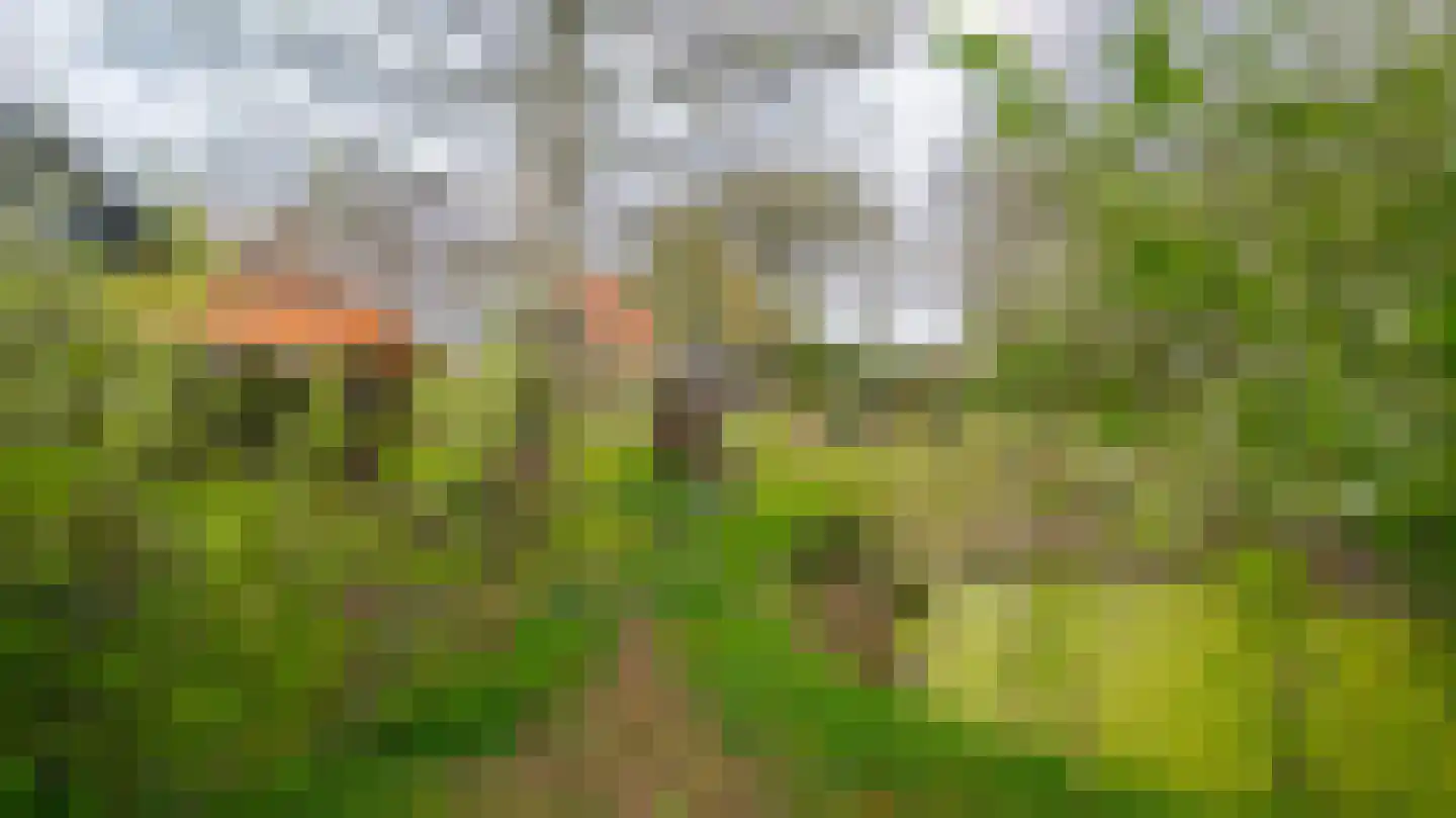 Deldensestraat 205 Almelo thumbnail 20
