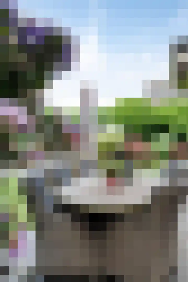 Deldensestraat 216 Almelo thumbnail 31