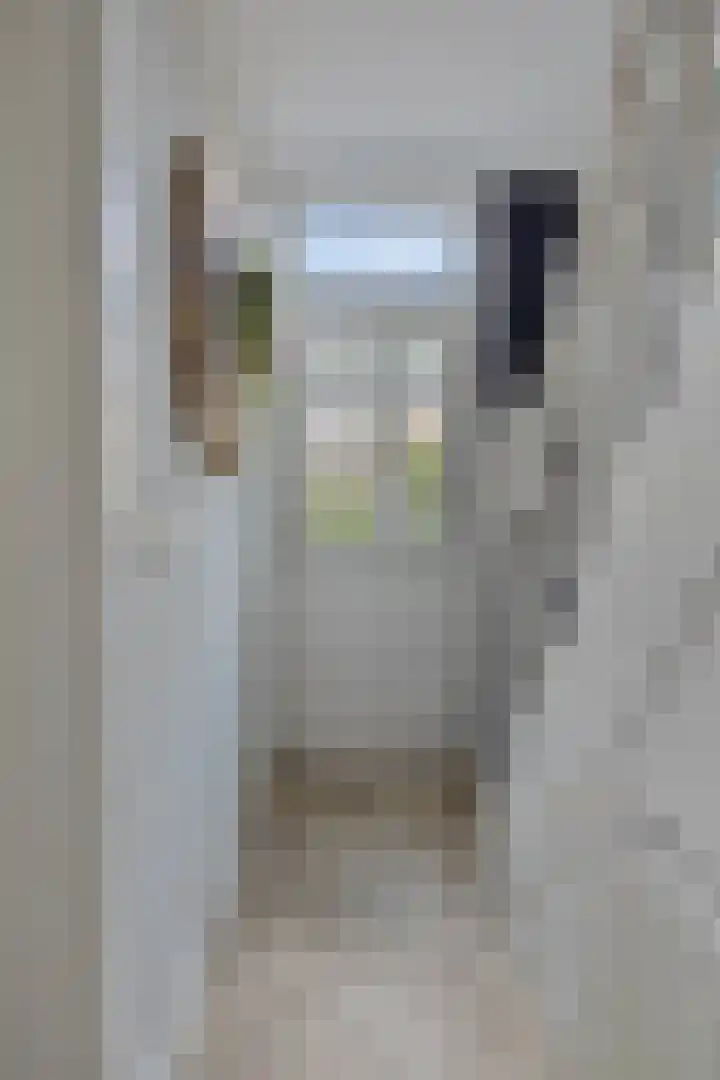 Deldensestraat 216 Almelo thumbnail 4