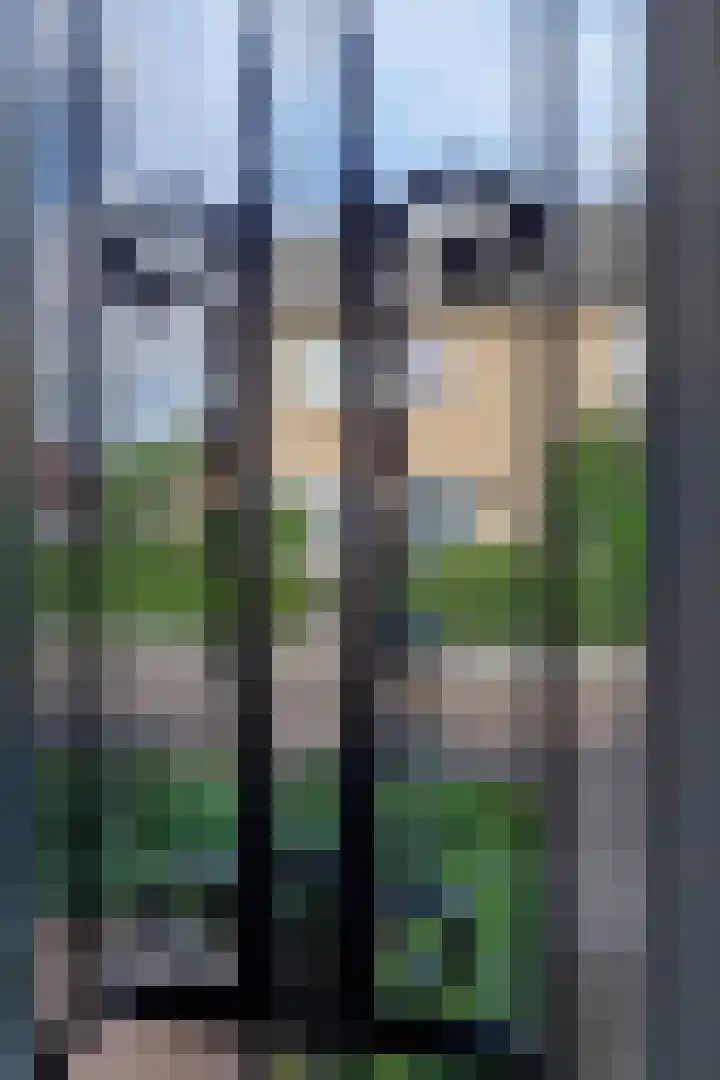 Deldensestraat 216 Almelo thumbnail 5