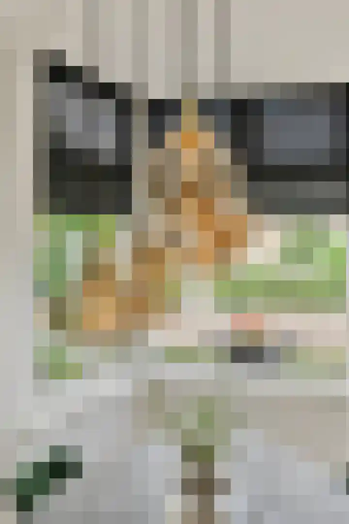 Deldensestraat 216 Almelo thumbnail 8