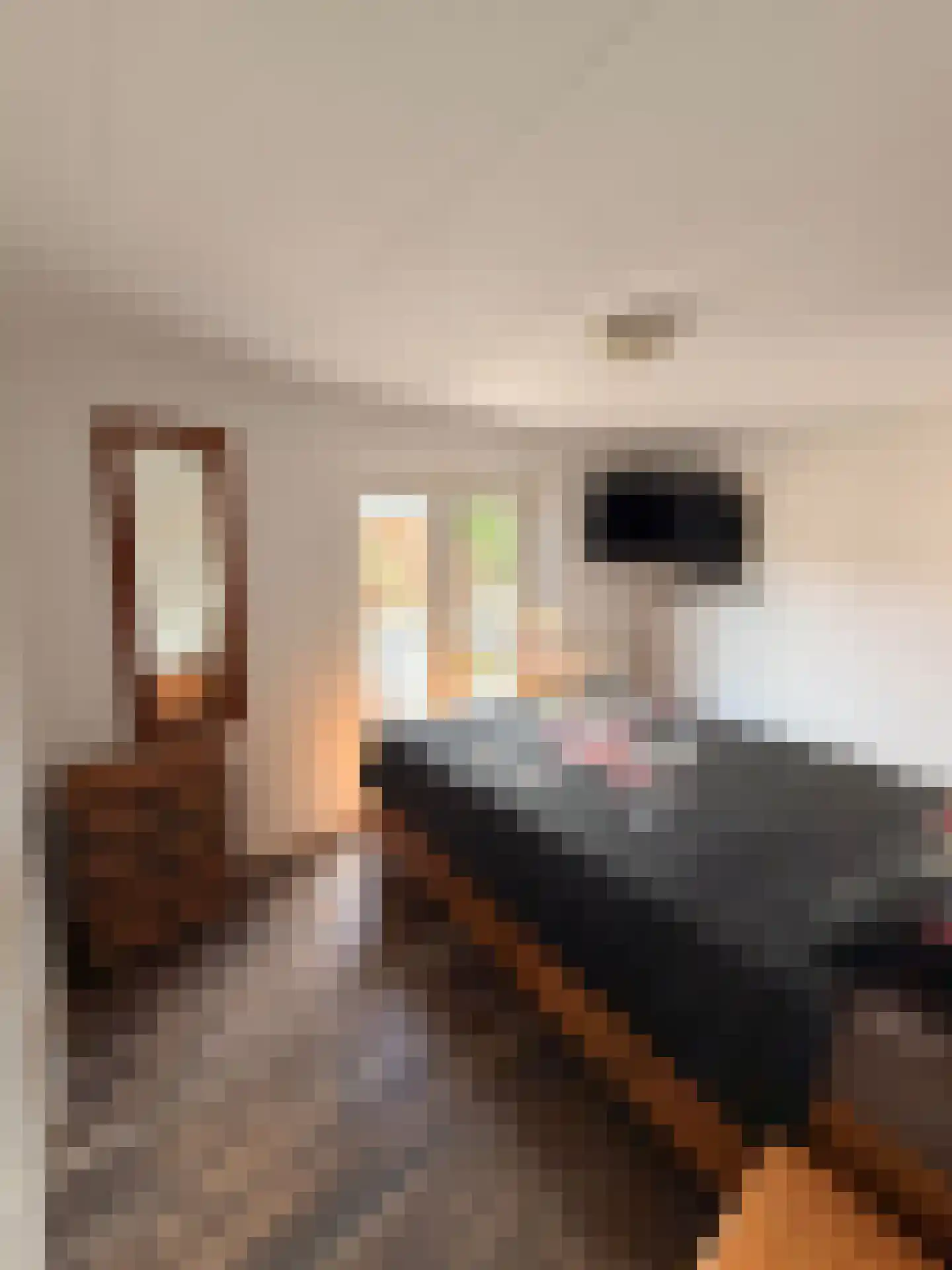 Deldensestraat 238 Almelo thumbnail 32