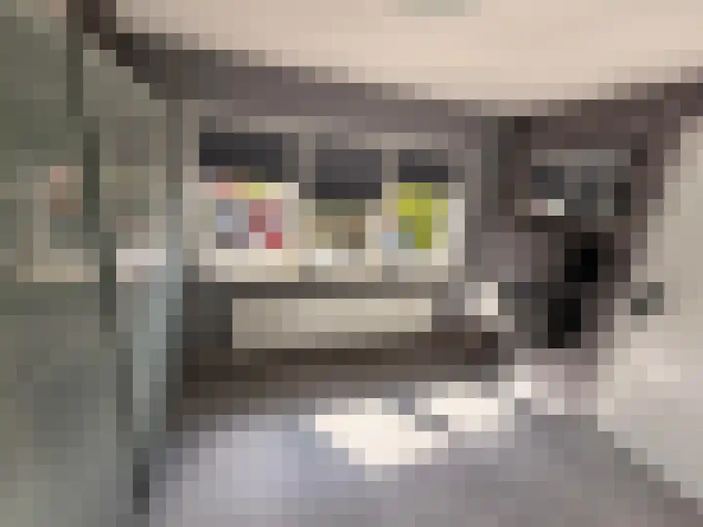 Deldensestraat 238 Almelo thumbnail 34