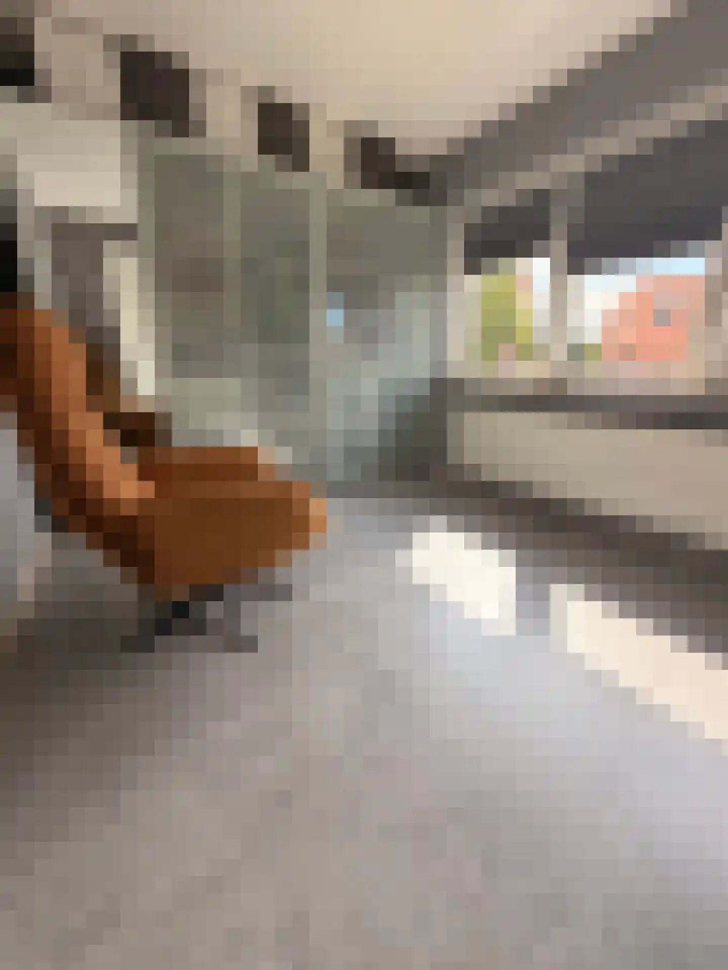 Deldensestraat 238 Almelo thumbnail 35