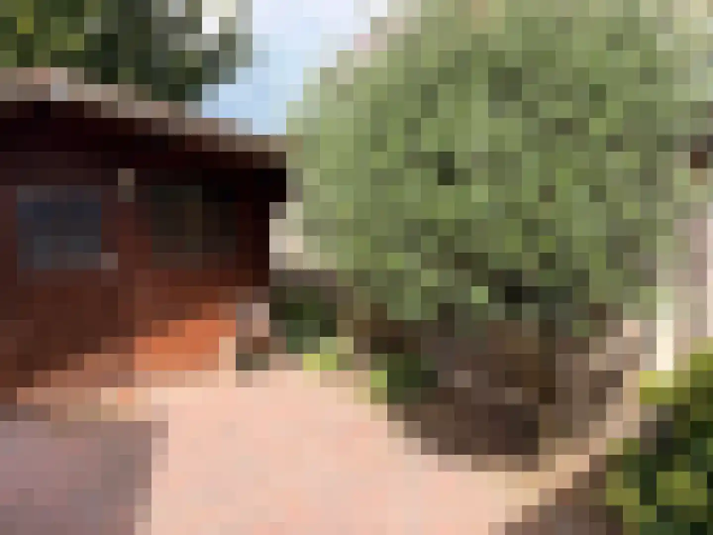 Deldensestraat 238 Almelo thumbnail 43