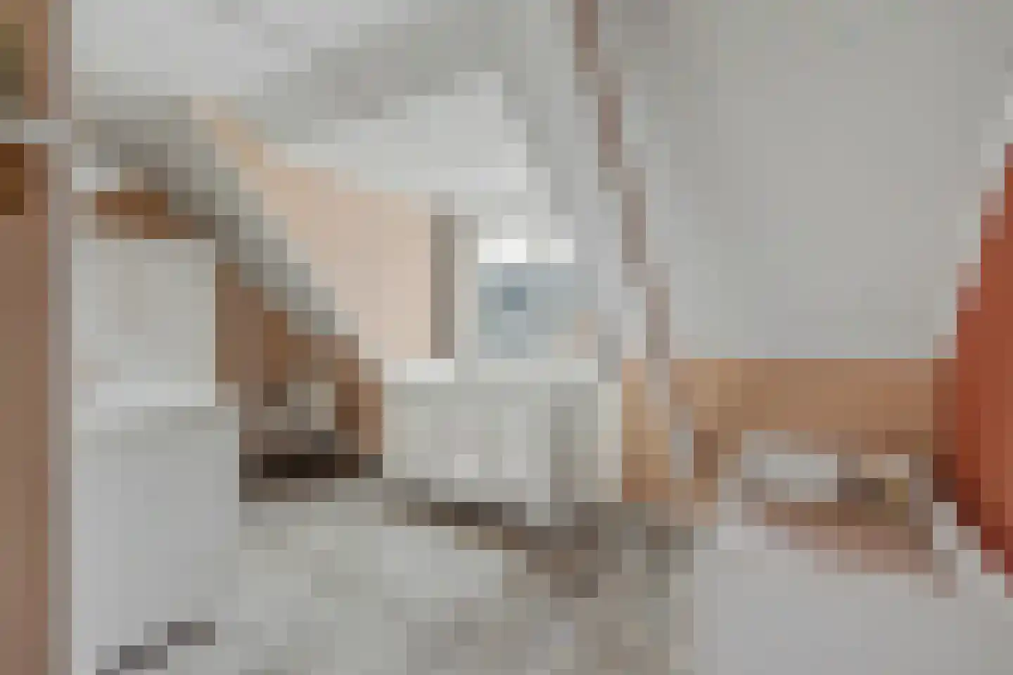 Deldensestraat 29 Almelo thumbnail 20