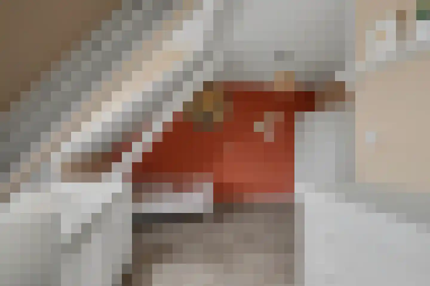 Deldensestraat 29 Almelo thumbnail 21