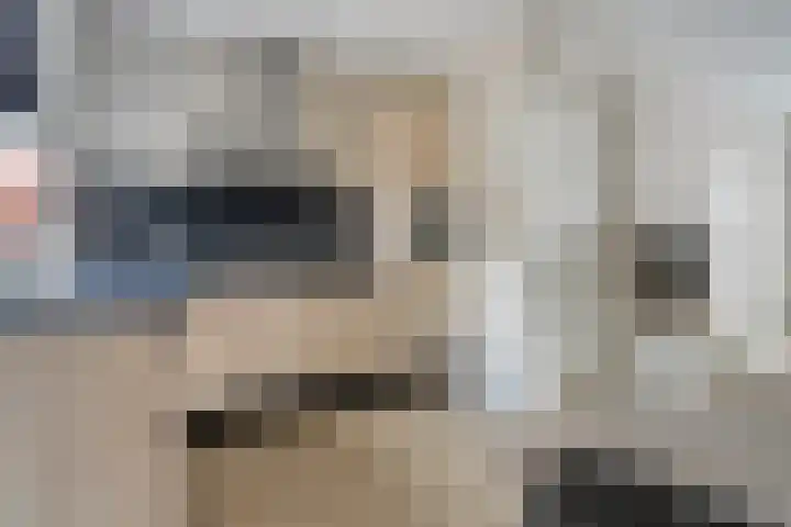 Deldensestraat 29 Borne thumbnail 13