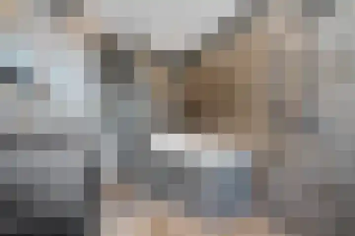 Deldensestraat 29 Borne thumbnail 14