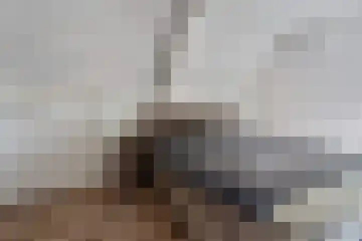 Deldensestraat 29 Borne thumbnail 19
