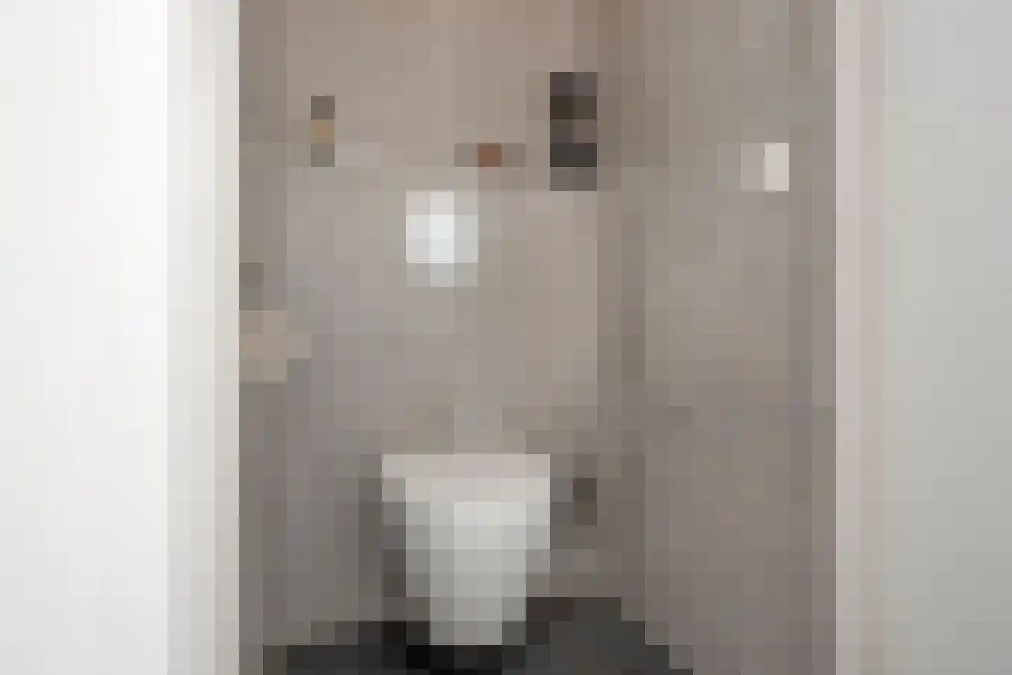 Deldensestraat 44 Borne thumbnail 11