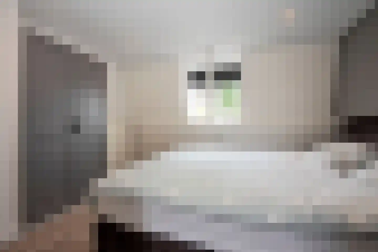 Deldensestraat 44 Borne thumbnail 15