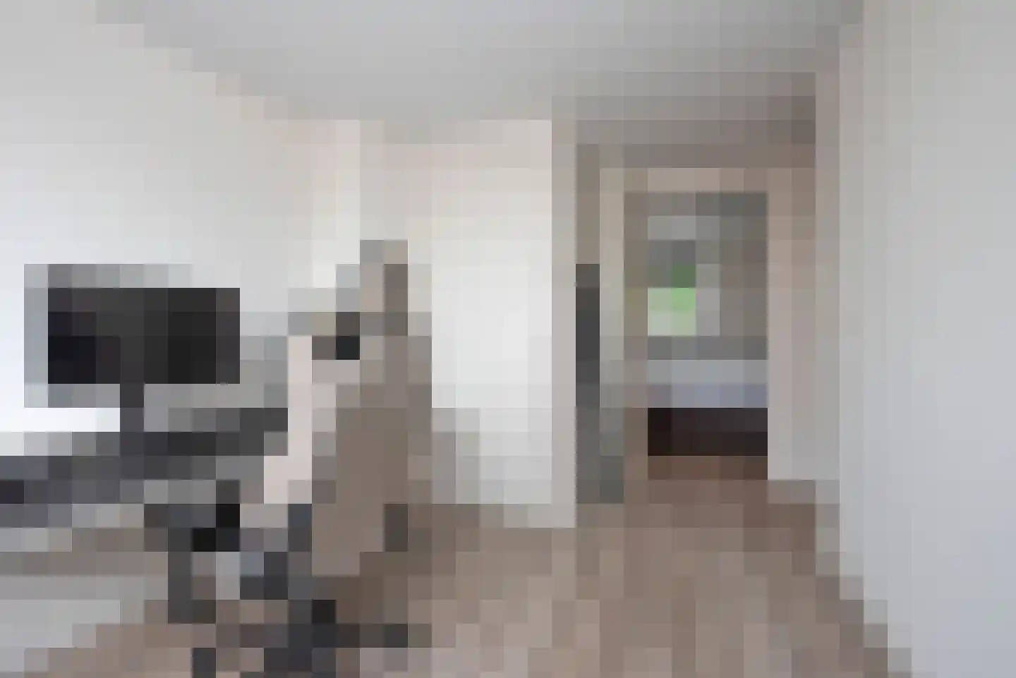 Deldensestraat 44 Borne thumbnail 18