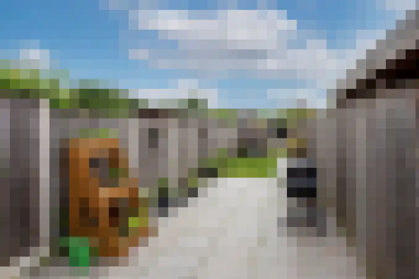 Deldensestraat 44 Borne thumbnail 22