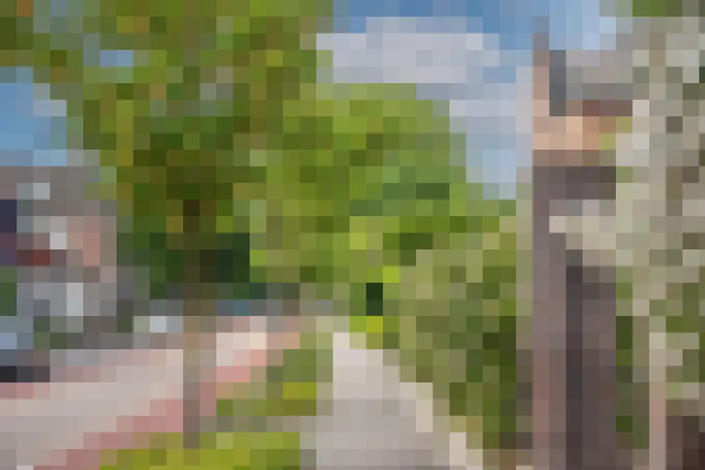 Deldensestraat 44 Borne thumbnail 30