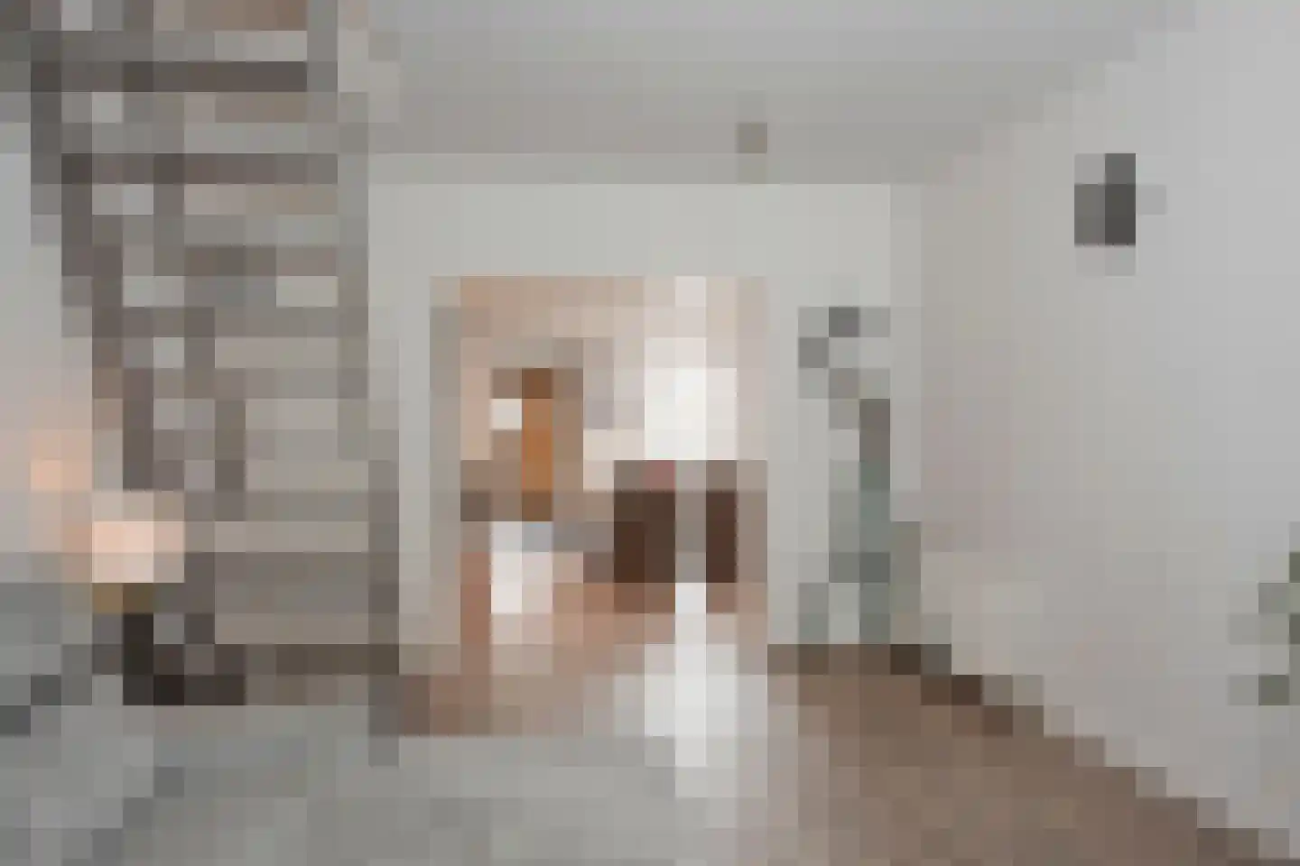 Deldensestraat 44 Borne thumbnail 6