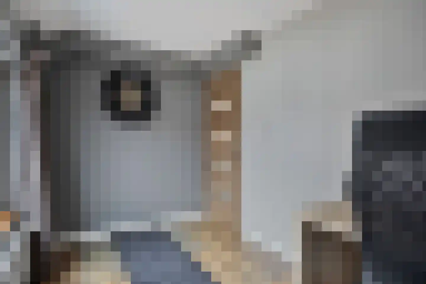 Deldensestraat 5 Sint Philipsland thumbnail 21