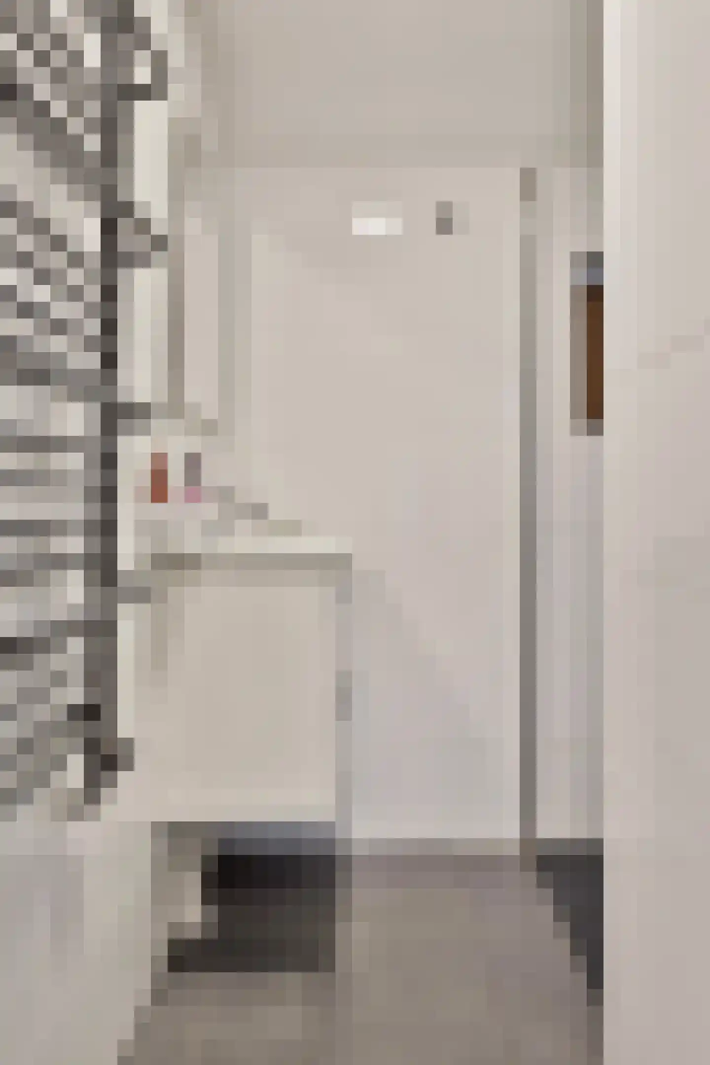 Deldensestraat 5 Sint Philipsland thumbnail 25