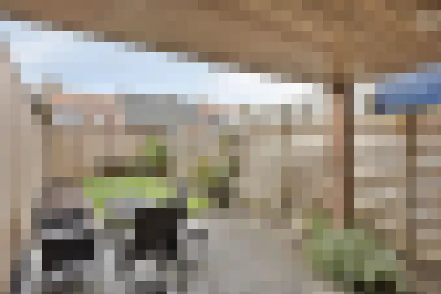 Deldensestraat 5 Sint Philipsland thumbnail 28