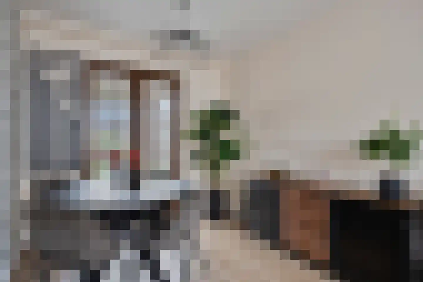 Deldensestraat 5 Sint Philipsland thumbnail 4
