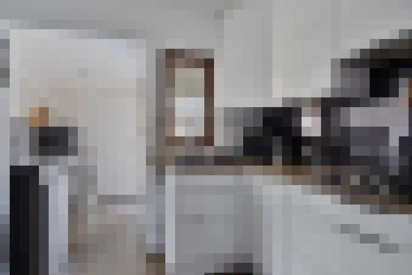 Deldensestraat 5 Sint Philipsland thumbnail 5