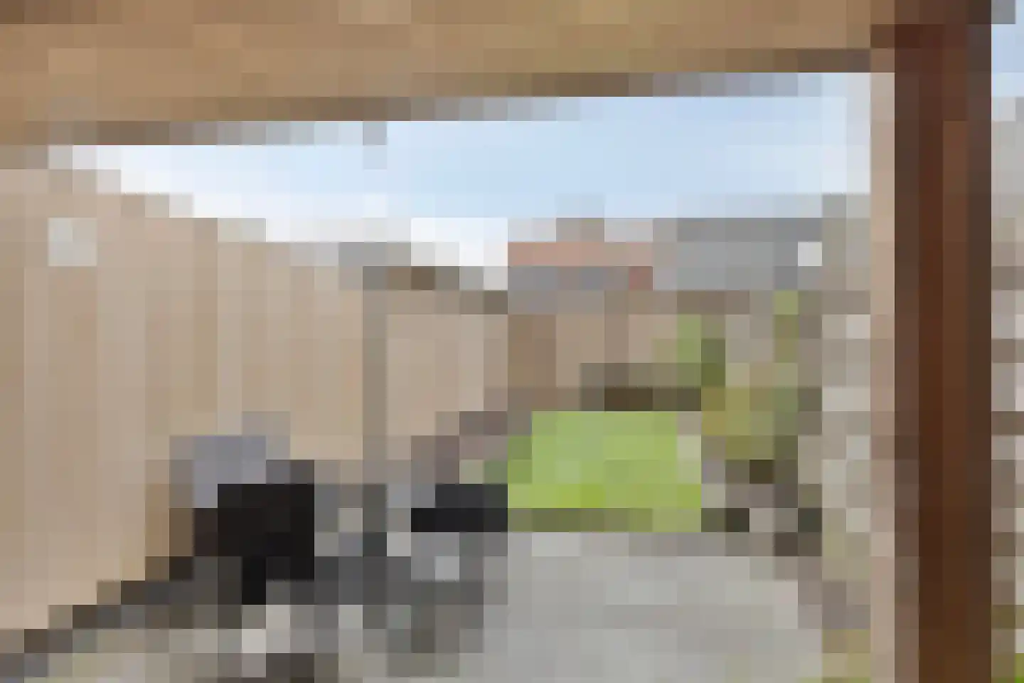 Deldensestraat 5 Sint Philipsland thumbnail 6