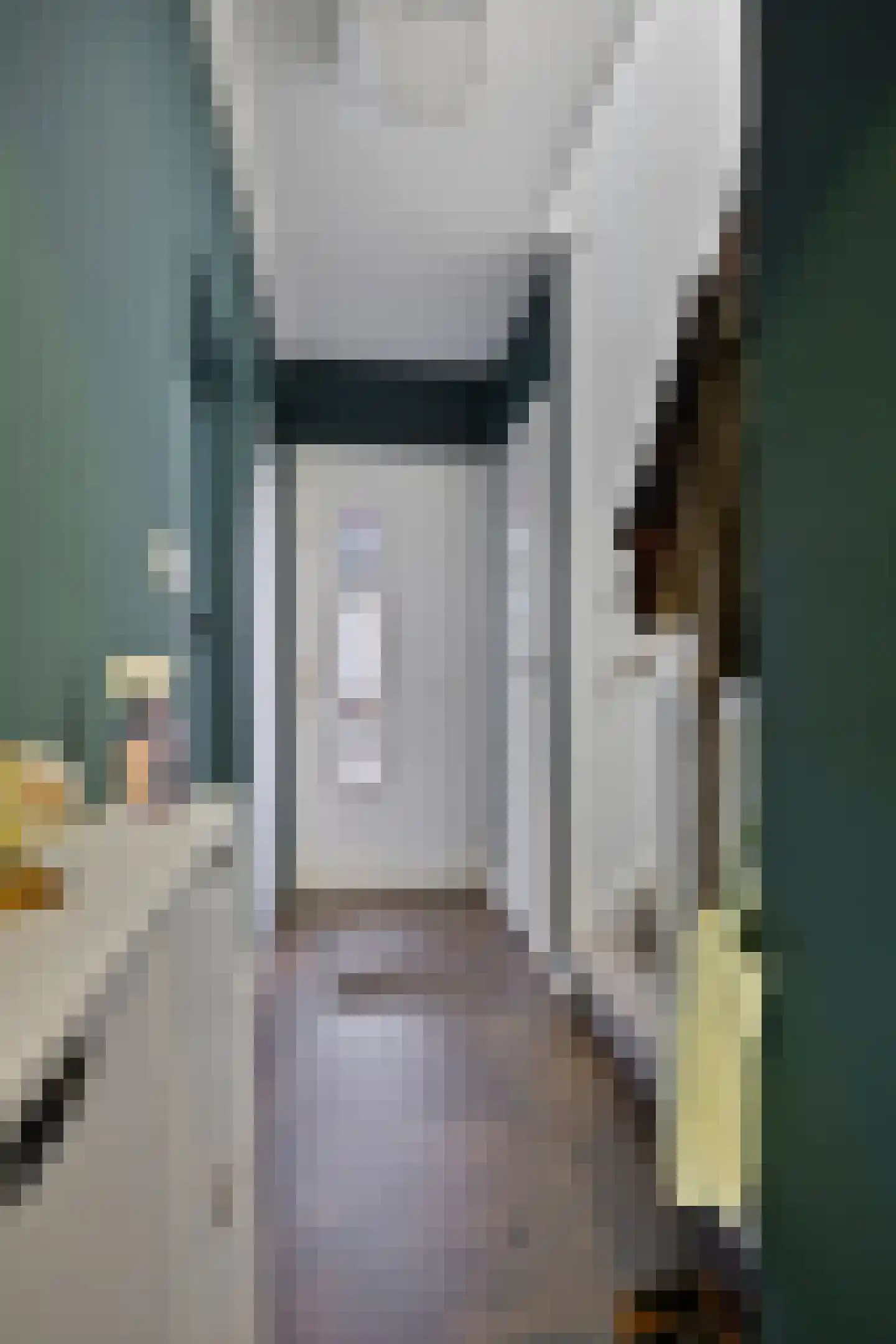 Deldensestraat 5 Sint Philipsland thumbnail 7