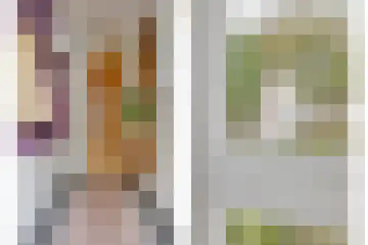 Deldensestraat 50 Goor thumbnail 5