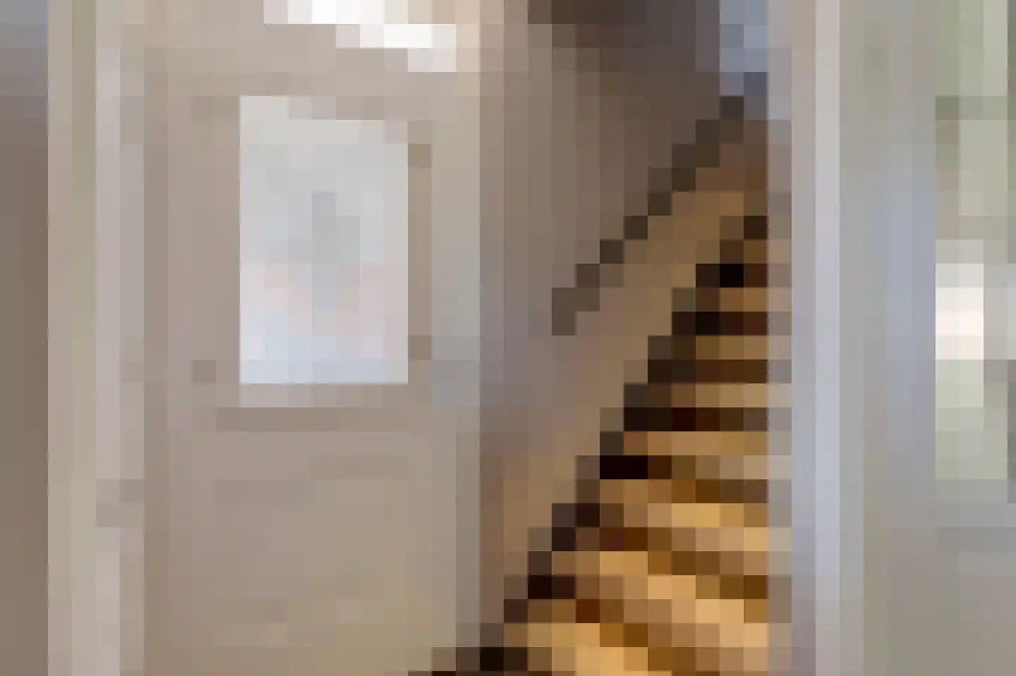 Deldensestraat 59 Almelo thumbnail 16