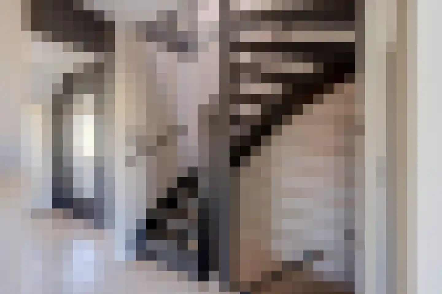Deldensestraat 59 Almelo thumbnail 30