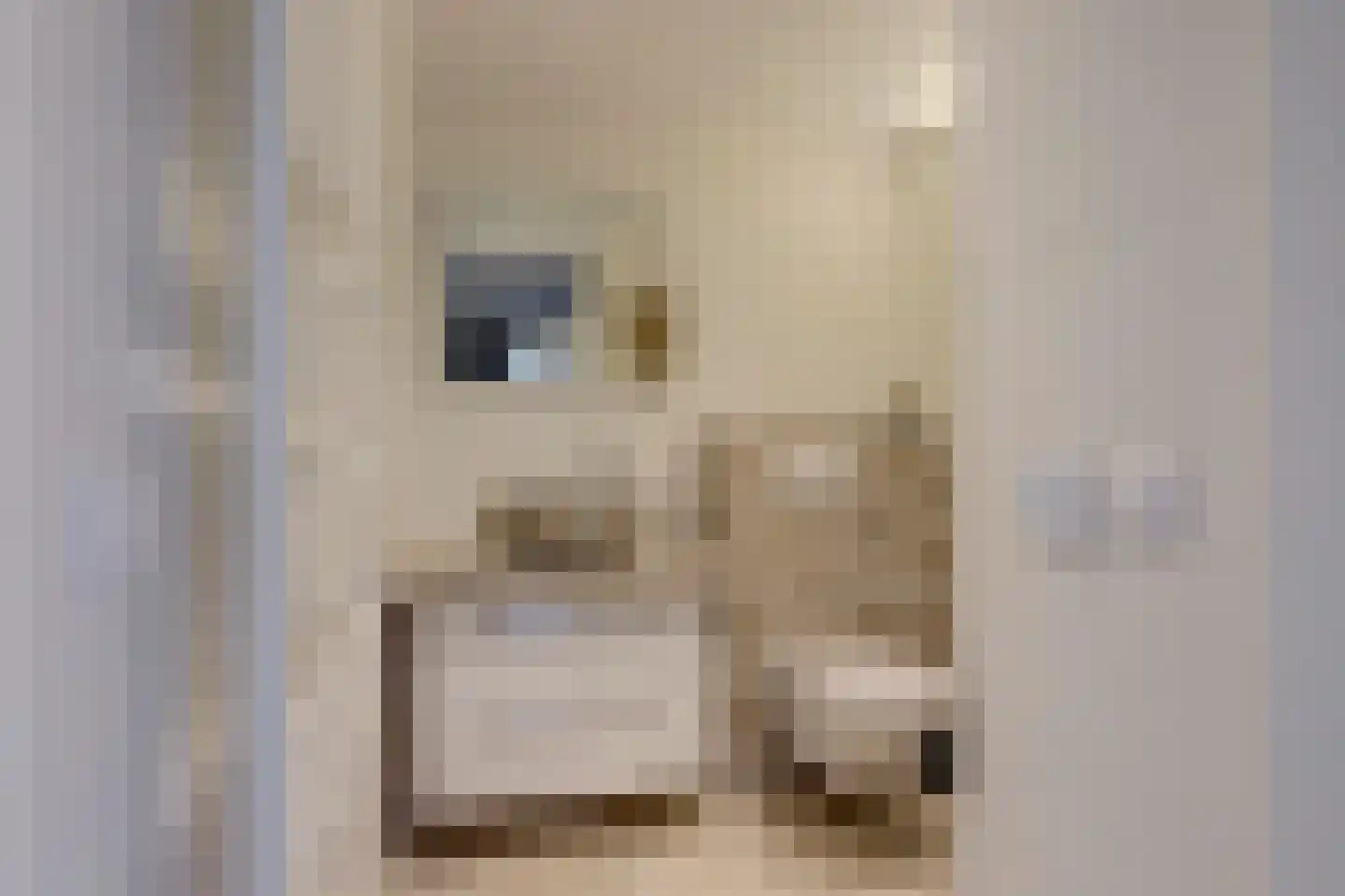 Deldensestraat 59 Almelo thumbnail 37