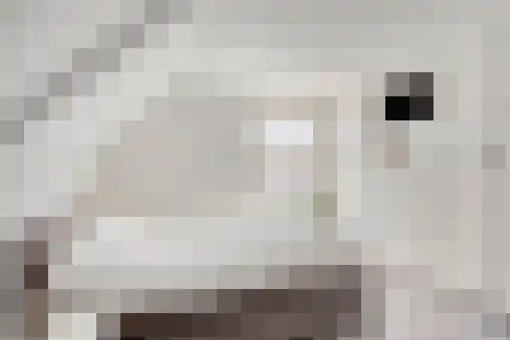Deldensestraat 61 Borne thumbnail 22