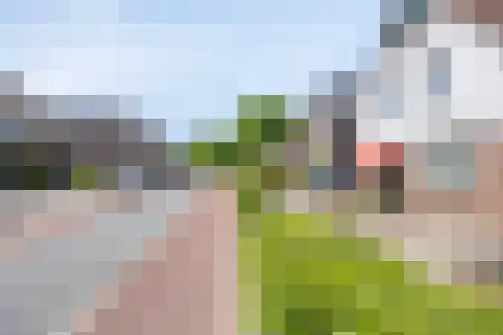 Deldensestraat 61 Borne thumbnail 34