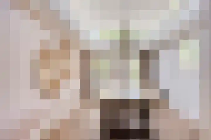 Deldensestraat 61 Borne thumbnail 5