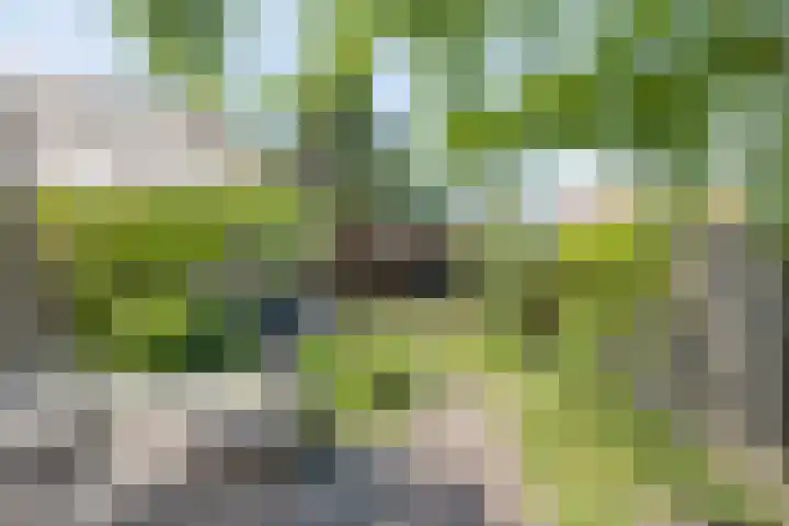 Deldensestraat 61 Borne thumbnail 6