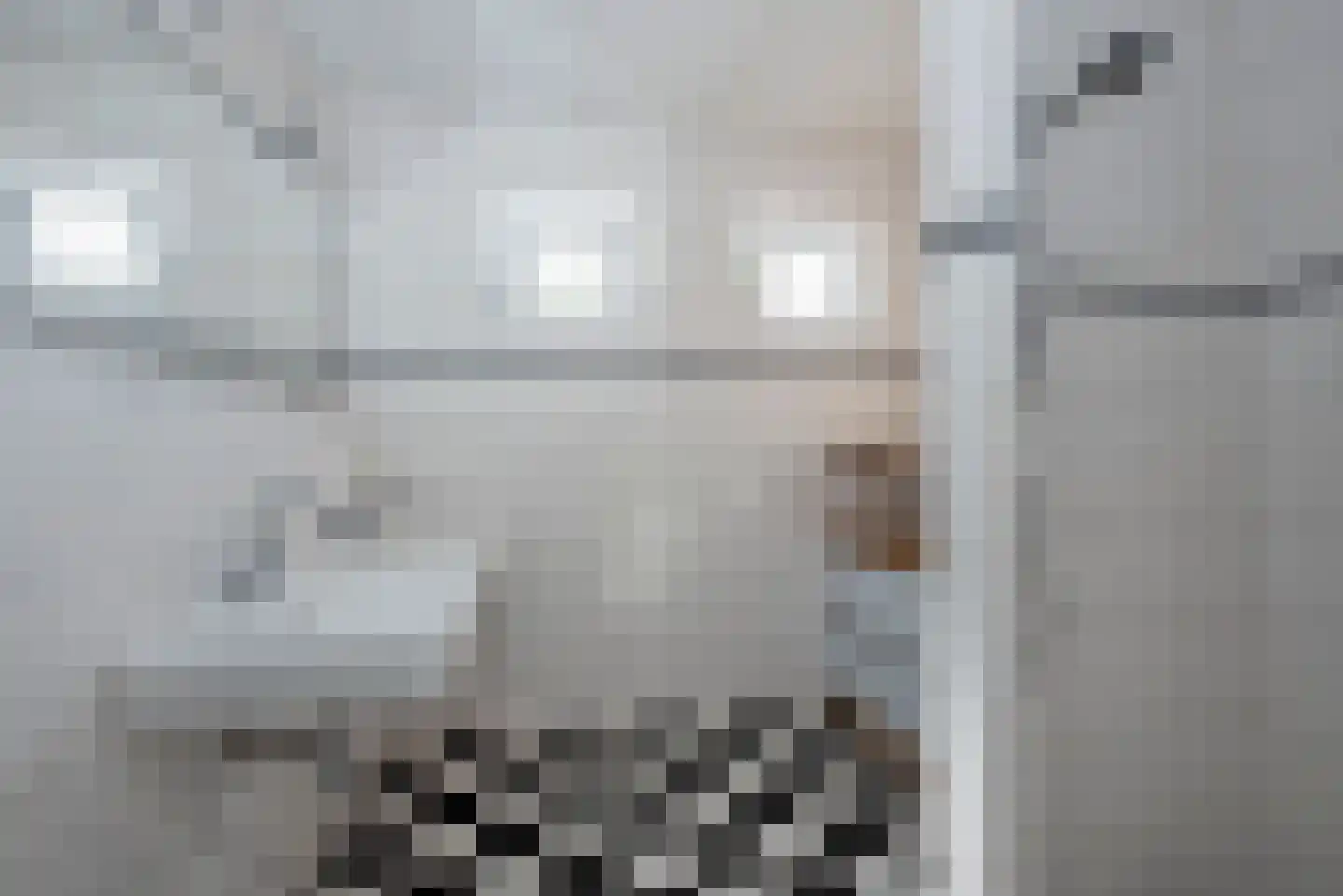 Deldensestraat 62 Borne thumbnail 17
