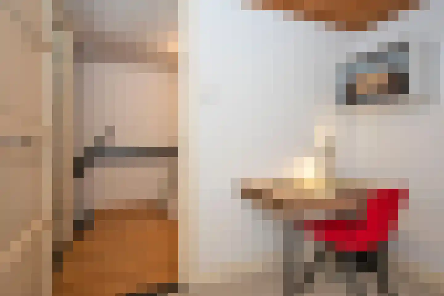 Deldensestraat 62 Borne thumbnail 26