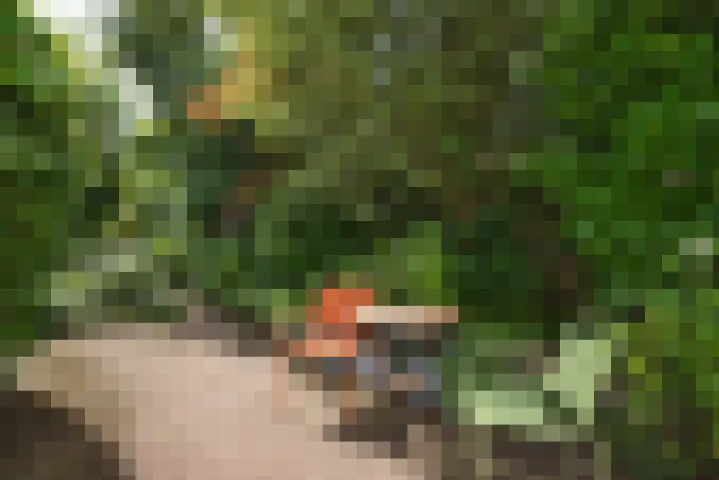 Deldensestraat 62 Borne thumbnail 32
