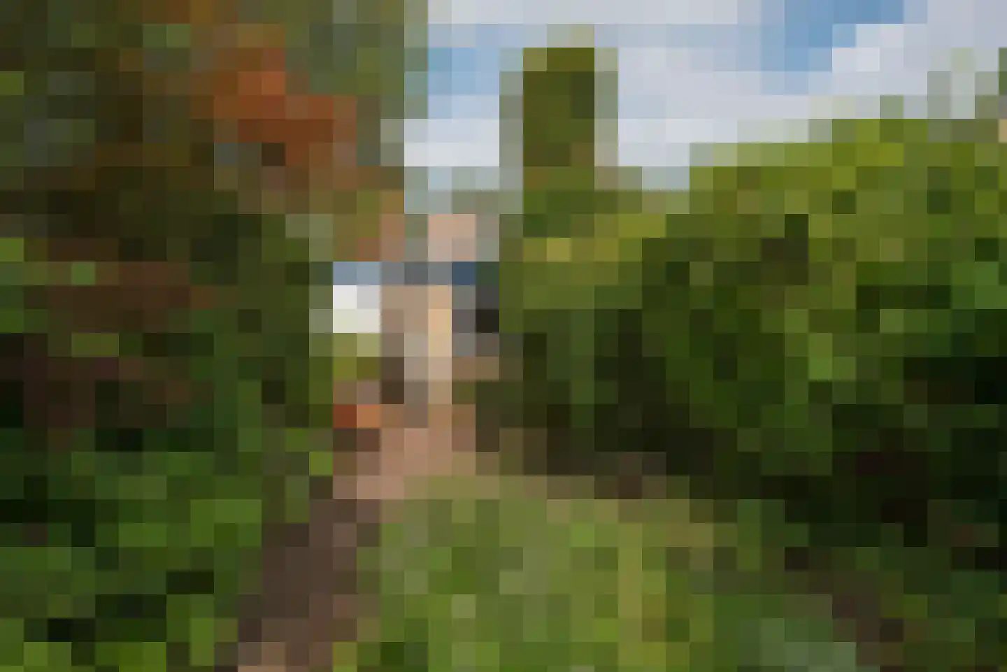 Deldensestraat 62 Borne thumbnail 33