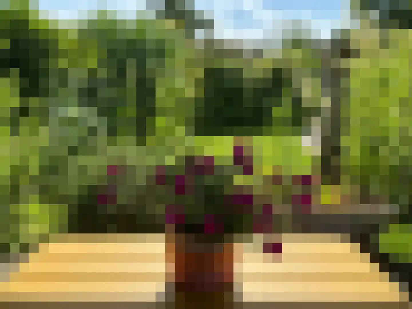 Deldensestraat 62 Borne thumbnail 36